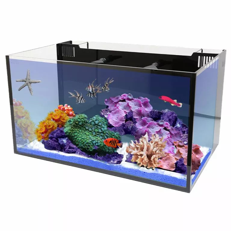 The Innovative Marine - Fusion 20 Long is a vibrant, rimless aquarium with colorful coral, a starfish, and fish like a clownfish and reddish-orange swimmer. An AIO Filtration System keeps the water crystal clear against the blue backdrop and sandy floor for this lively underwater scene.