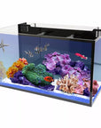 The Innovative Marine - Fusion 20 Long is a vibrant, rimless aquarium with colorful coral, a starfish, and fish like a clownfish and reddish-orange swimmer. An AIO Filtration System keeps the water crystal clear against the blue backdrop and sandy floor for this lively underwater scene.