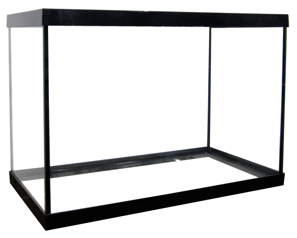 The Aquarium Masters 20 Regular High Aquarium is a sleek black-framed rectangular tank, showcased against a pristine white backdrop. Clear glass panels on all sides provide ample space for creative aquascaping.