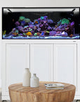 An Innovative Marine INT 170 Gallon Complete Reef System sits on a white cabinet, filled with colorful corals and vibrant fish. In front, a round wooden table holds two ceramic vases and a stack of magazines on a light carpeted floor.