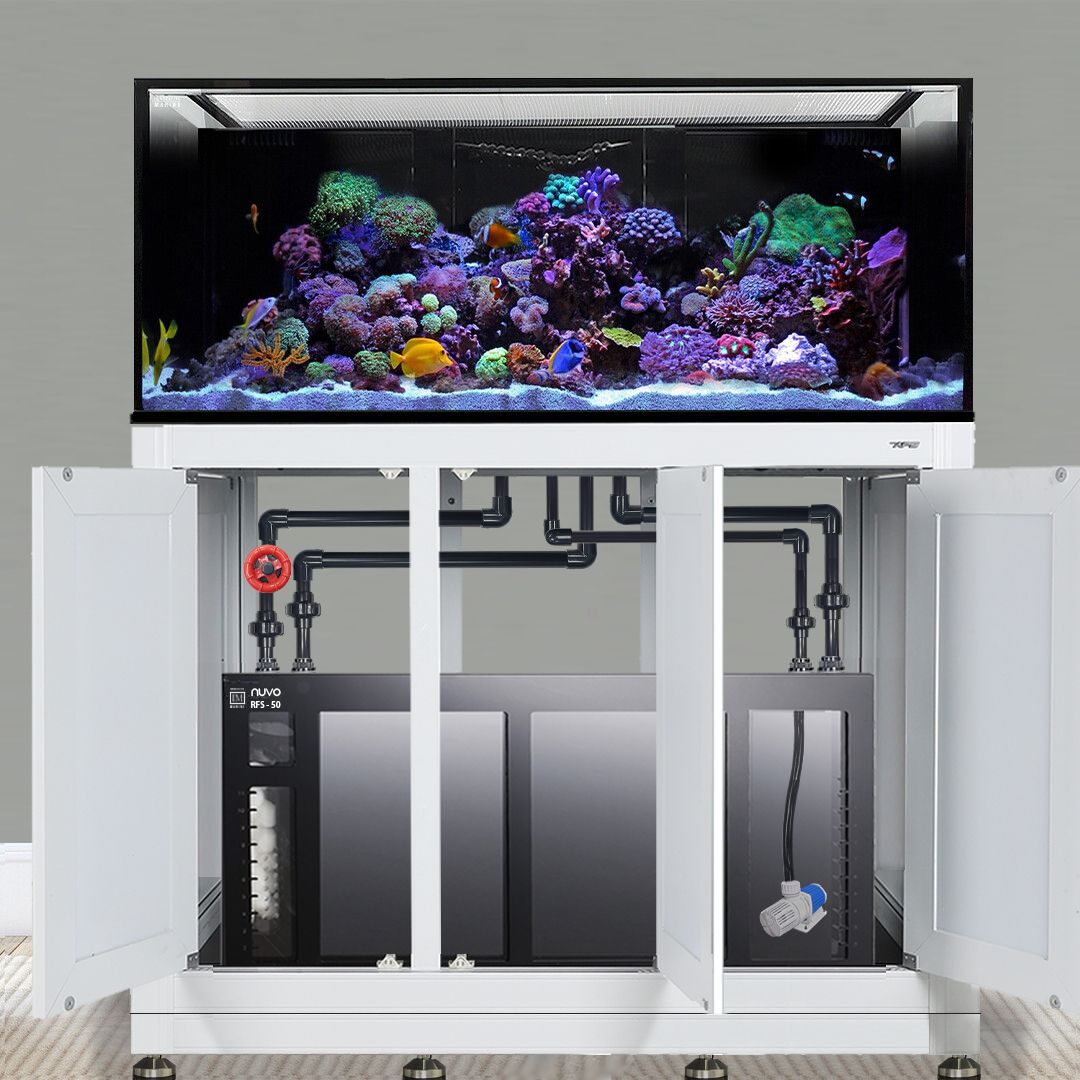 Discover the beauty of a modern saltwater reef with the Innovative Marine INT 170 Gallon Complete Reef System. This rectangular aquarium features vibrant coral and fish on a sleek white stand, with a cabinet below showcasing advanced filtration and plumbing systems for easy use.