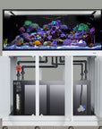 Discover the beauty of a modern saltwater reef with the Innovative Marine INT 170 Gallon Complete Reef System. This rectangular aquarium features vibrant coral and fish on a sleek white stand, with a cabinet below showcasing advanced filtration and plumbing systems for easy use.