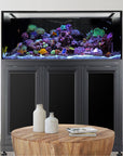 An Innovative Marine INT 170-gallon reef system, rich with colorful coral and fish, rests on a black stand in the room. A wooden round table with two ceramic vases and magazines sits in front, harmonizing perfectly with the light-colored walls.