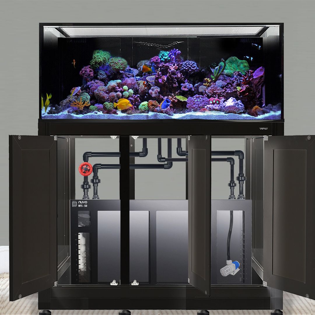 A sleek black Innovative Marine - INT 170 Gallon Complete Reef System displays colorful coral and fish. The open cabinet reveals its complex filtration and plumbing systems, with neatly arranged pipes and water reservoirs inside.