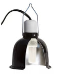 The Zoo Med ReptiSun 10.0 UVB 13 Watt Desert light features a black clamp, a reflective interior, and a white CFL bulb with UVB output for desert reptiles. It includes a metal hook for hanging and a black power cord to meet versatile lighting needs.