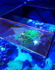 Top Down Viewer Zoa - 8" panel
