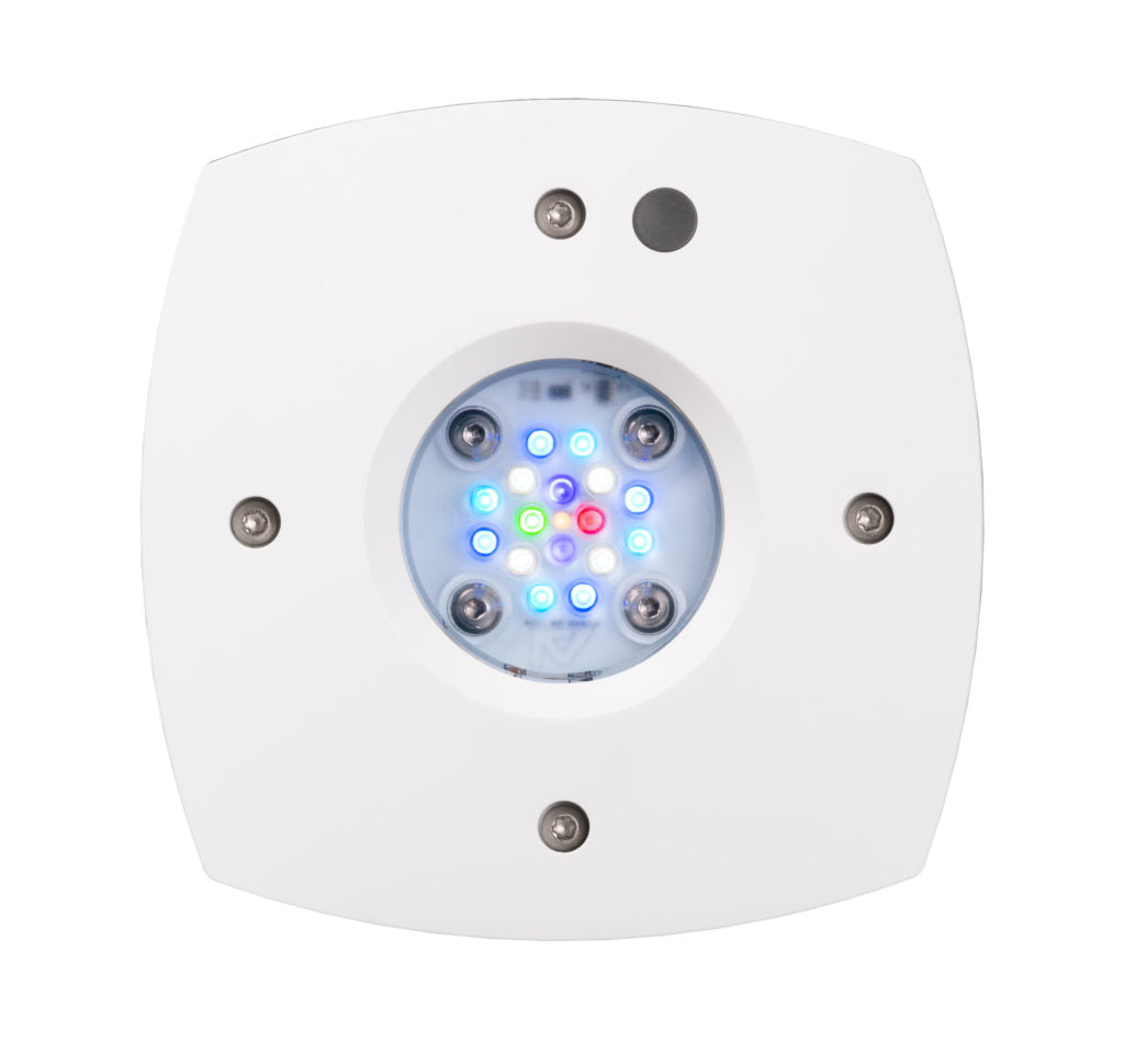The AQUA Illumination Prime 16HD REEF is a white, square device with a circular LED display showing blue, green, and red lights. Its corners have metallic screws and a small circular component is located above the vibrant display.
