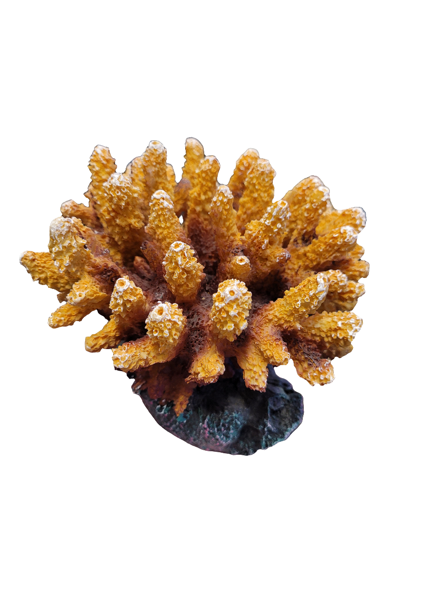 A close-up of the Acropora Decor in vibrant orange with a textured surface and multiple branching points, set against a plain white background, showcasing its intricate details and natural form.