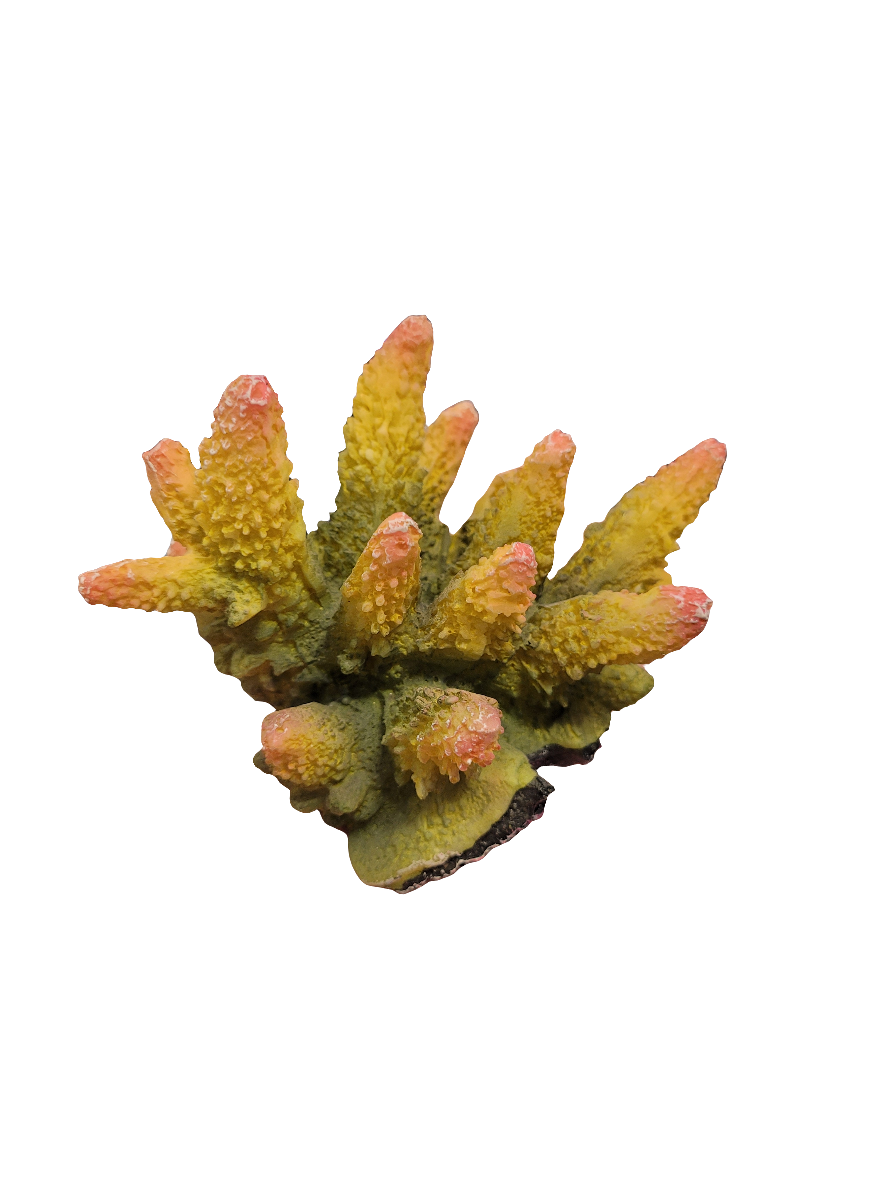 A close-up of the Acropora Decor with a mix of orange, yellow, and green shows bumpy, detailed branches ending in pink tips, resembling a small underwater formation against a plain white background.