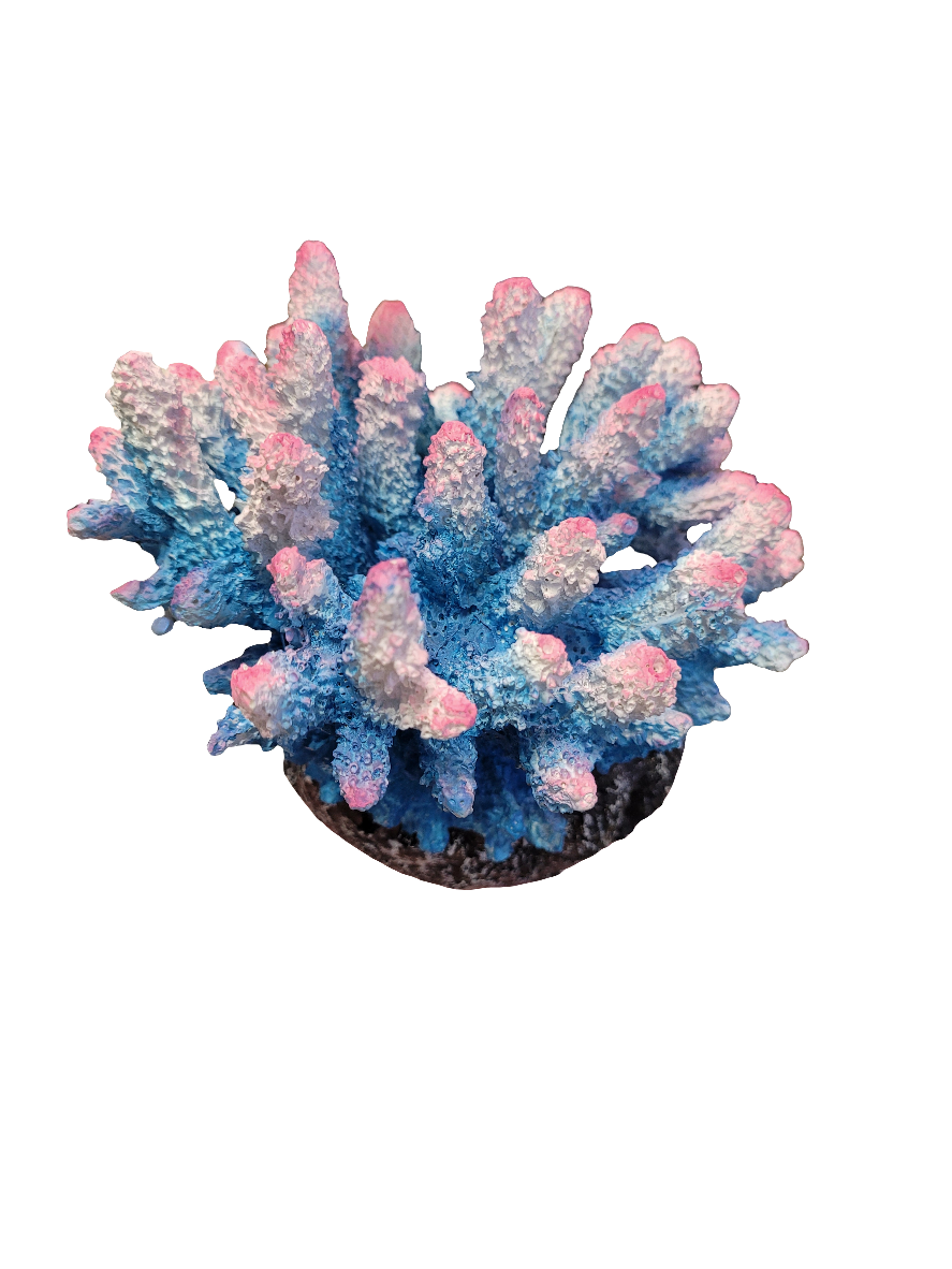 The Acropora Decor - Pink/White/Blue - Large is a striking coral specimen showcasing blue and pink hues with a branching, spiky design. It sits on a small circular base against a plain white background.