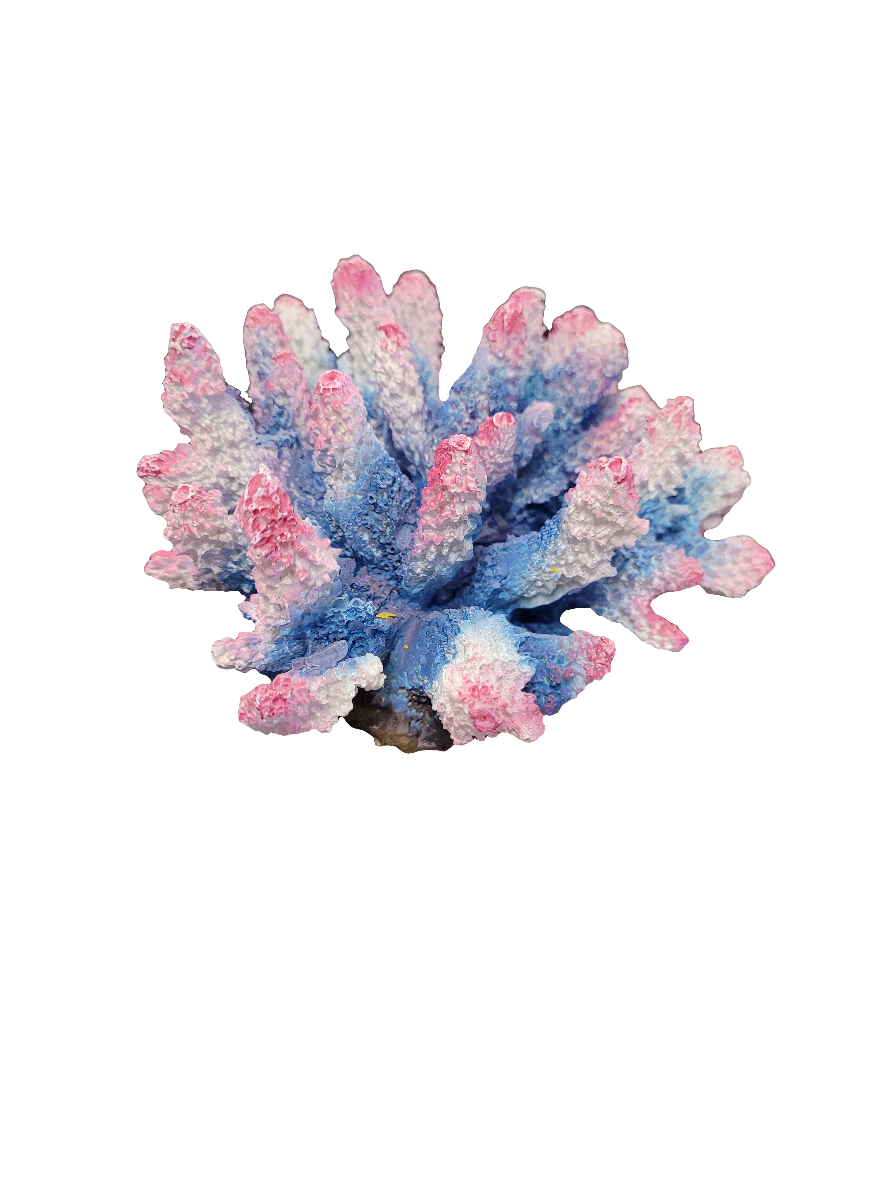 The Acropora Decor - Pink/White/Blue - Medium is a coral piece with vibrant blue branches and pink and white tips set against a plain white background.