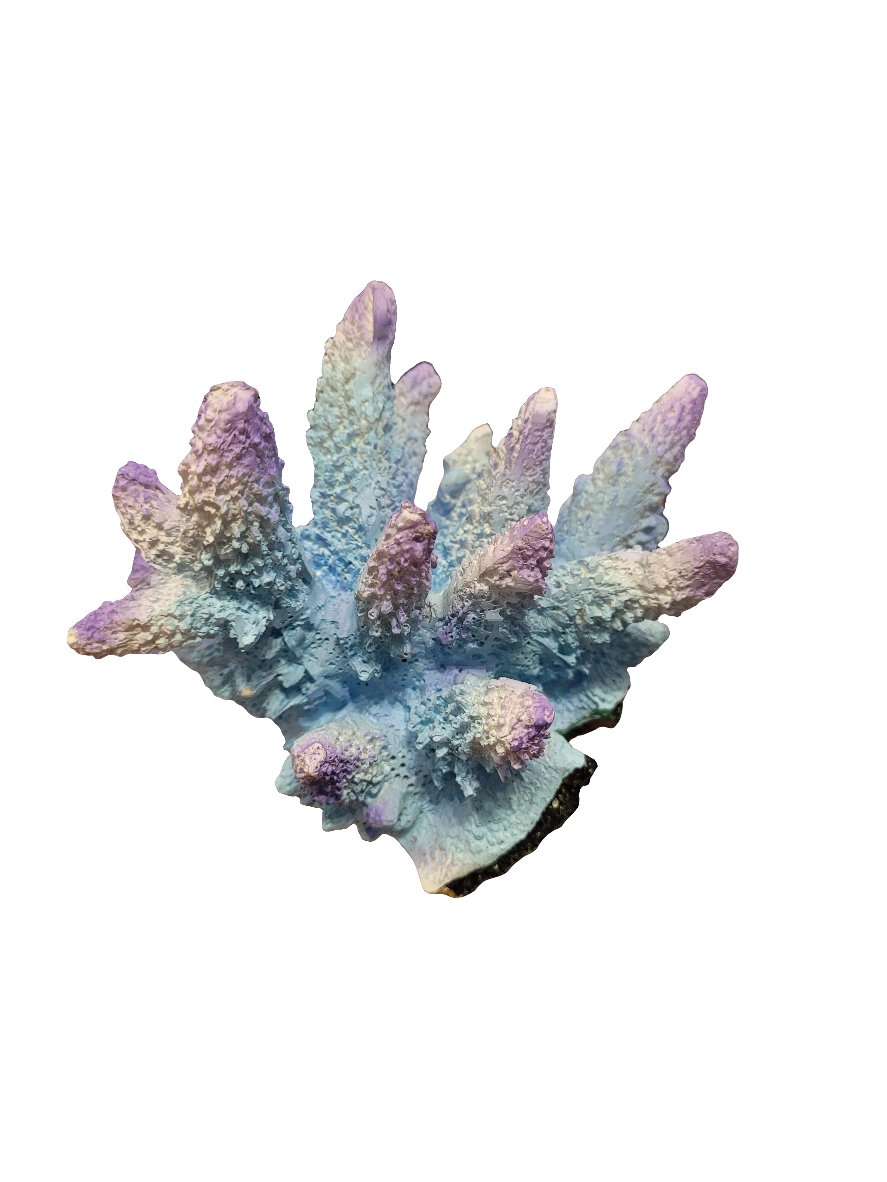 The Acropora Decor - Purple/Blue - Small displays a close-up of coral with a branching structure in vibrant shades of blue, purple, and pink, resembling small pointed fingers on its textured surface.