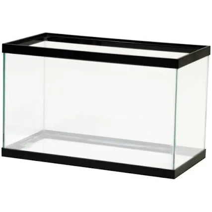 The Aqueon 10 Gallon Aquarium is a rectangular glass tank with a black frame, empty and transparent, set against a white background.