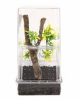 Zoo Med - Arboreal Creature Kit