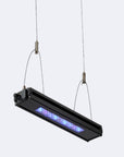 Edge 12 LED Aquarium Light - Ultra-Compact Reef Tank Lighting System
