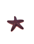 GloFish - Starfish Decor - Purple