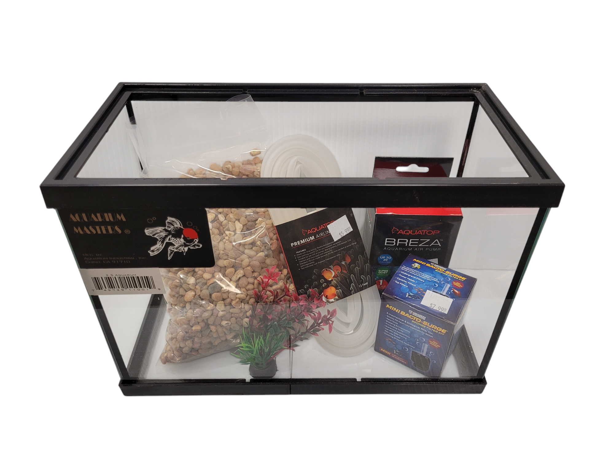 betta fish mystery box Fish, Mini anime enthusiasts Female Betta Mystery Box (1