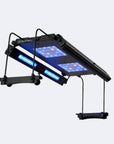 Meridian 24 Edge Bar Bundle - Premium LED Reef Lighting Kit with Mounting