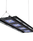 Meridian 45 Edge Bar Bundle - Complete Large LED Reef Lighting Kit