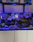 Meridian BOT Mount - Bottom Tank LED Light Mounting System