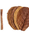 The Seachem - Catappa Leaves MD 12 ct. features five vertically aligned brown oval leaves on the right highlighting their texture, and two thin, short brown stems are side by side on the left against a white background.