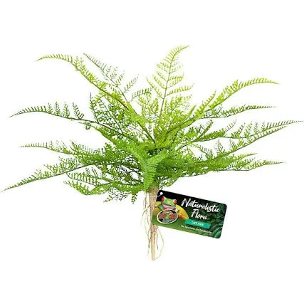 An artificial green lace fern with delicate, feathery leaves against a white background, featuring a Zoo Med - Naturalistic Flora tag on the stem.