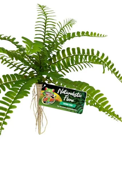 A realistic artificial fern with vibrant green fronds and a small root bundle. It features a tag labeled Zoo Med - Naturalistic Flora - Sword Fern with plant details.