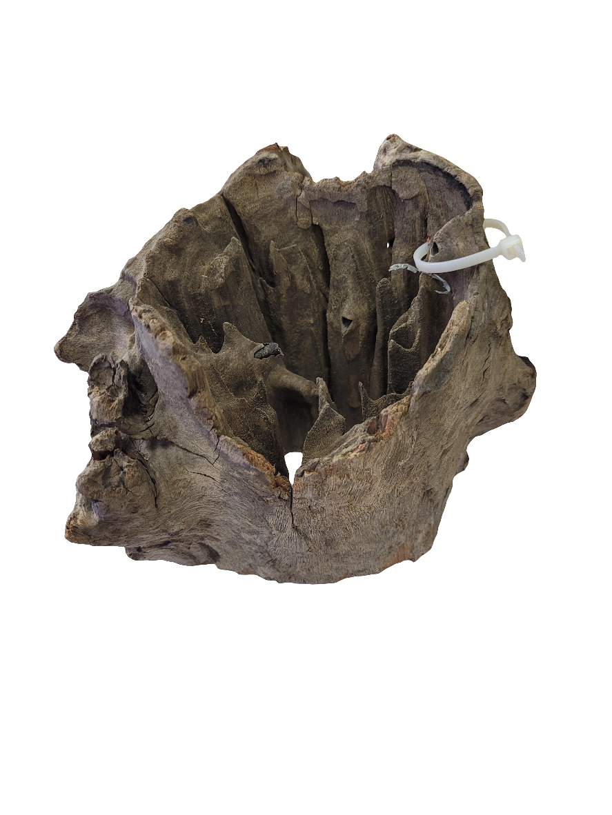 Aquaglobe - Stump Wood - Small