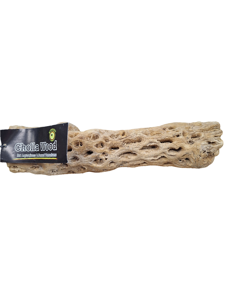 Galapagos - Cholla Wood