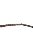Galapagos - Cholla Wood