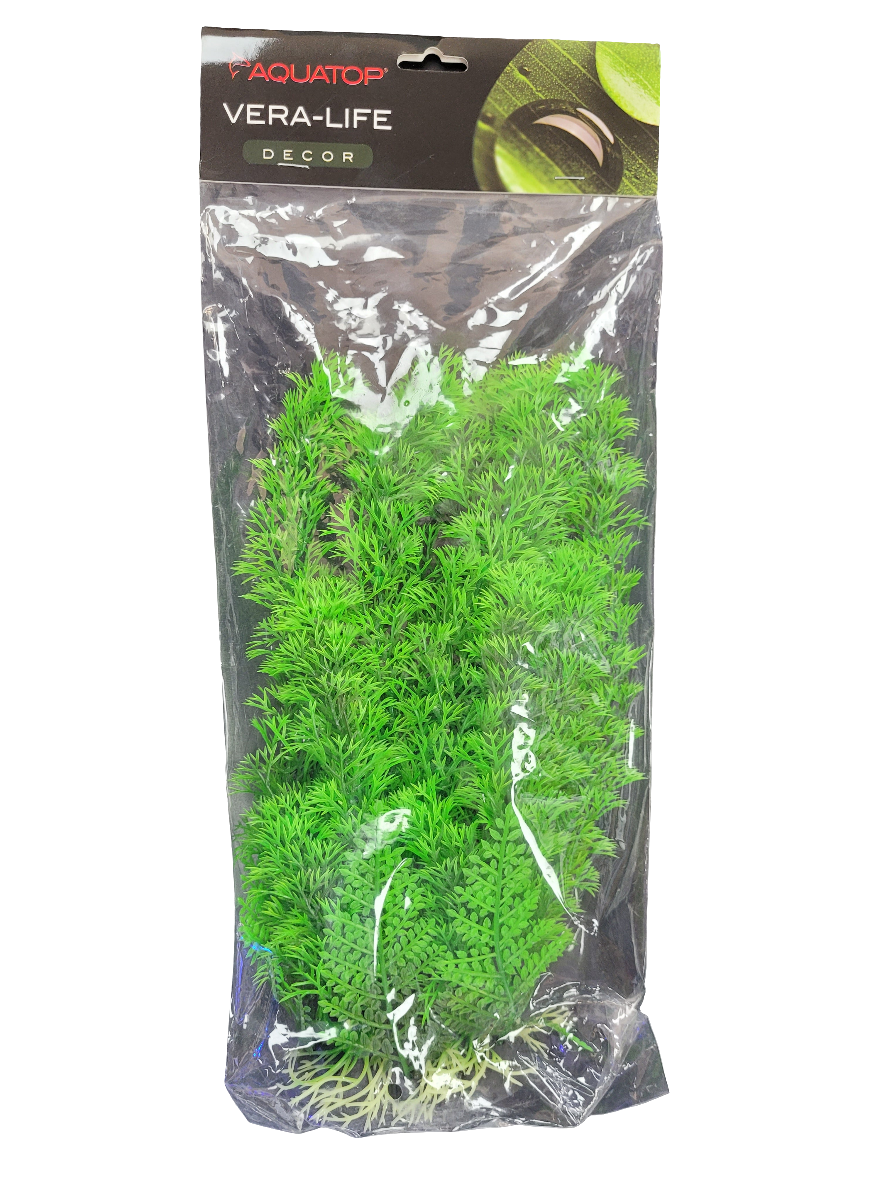 Aquatop - Vera-life Decor - Cambodia 12"