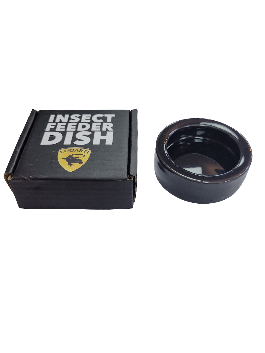 Lugarti - Ceramic Insect Feeder Dish - small 3"