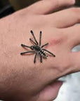 Avicularia Purpurea - Purple Pink Toe Tarantula