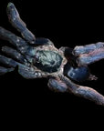 Tapinauchenius Cupreus - Violet Tree Spider/ Ecuadorian Copper Tree Spider