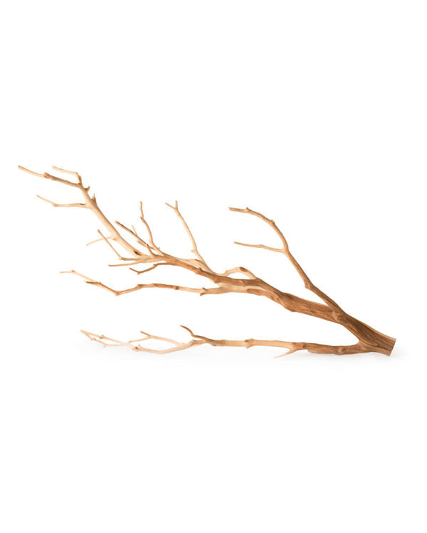 Galapagos - Staghorn Branch/Manzanita - 13"-18"