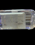 Nutramar - Tigriopus sp. Live Copepods