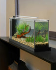 Fluval - Spec - Freshwater Kit - 5 gal 19 liters - white
