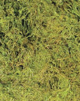 Zoo Med - Terrarium Moss - XL
