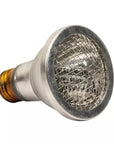 The Zoo Med - ReptiCare Infrared Heat Projector 35w is a silver, energy-efficient incandescent bulb featuring a reflective surface and yellow brass base, ideal for pet reptiles. It includes a mesh-like design over the glass for optimized performance.