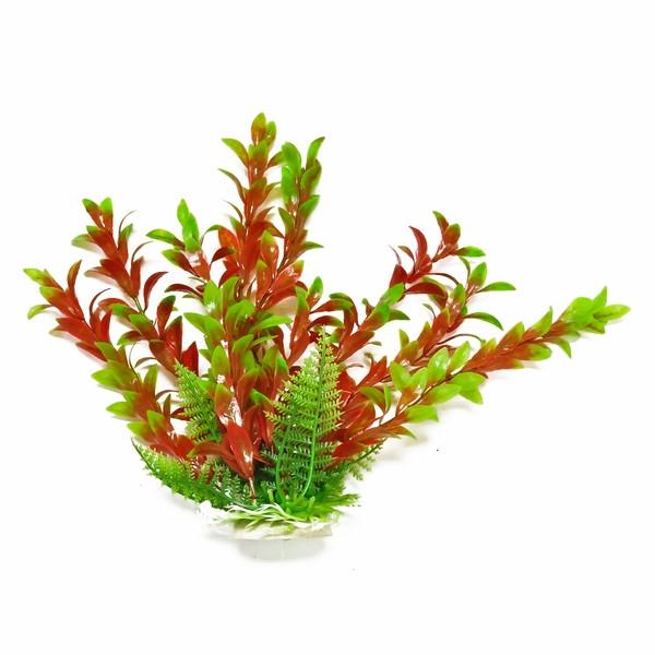 Aquatop - Vera-Life Green/Red Hygro Decor 6"