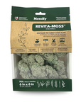 Mossify - REVITA-MOSS - Canadian Reindeer Moss 6"x6"
