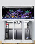 Innovative Marine - EXT 150 Gallon Lagoon Aquarium Complete Reef System (Made to Order)