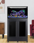 Innovative Marine- INT 112 Lagoon Aquarium w/ APS Stand (Made to Order)