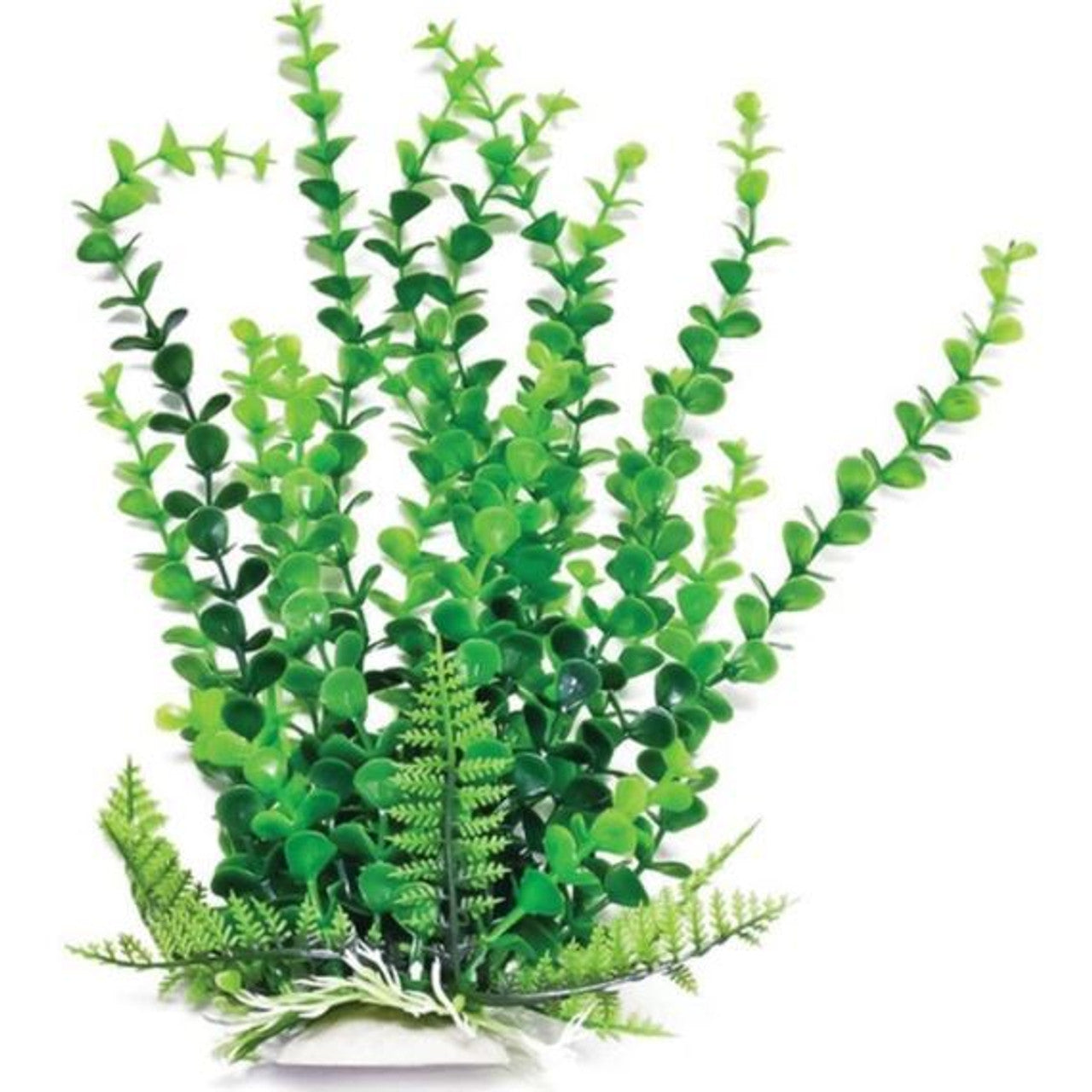 Aquatop - Elodea 12" Green