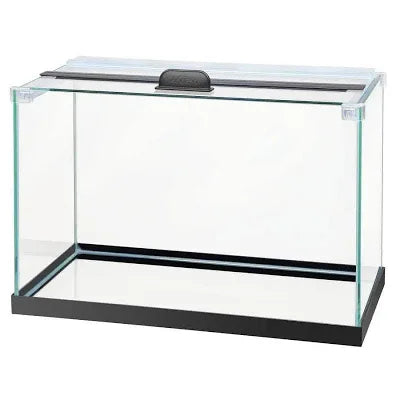 An empty, rimless Aqueon 10 Gallon Aquarium features a clear, rectangular glass design with a black base and lid, equipped with a small handle on top.