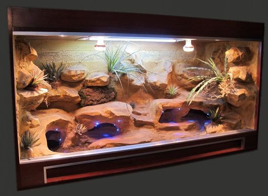 Reptile/Exotics Habitat