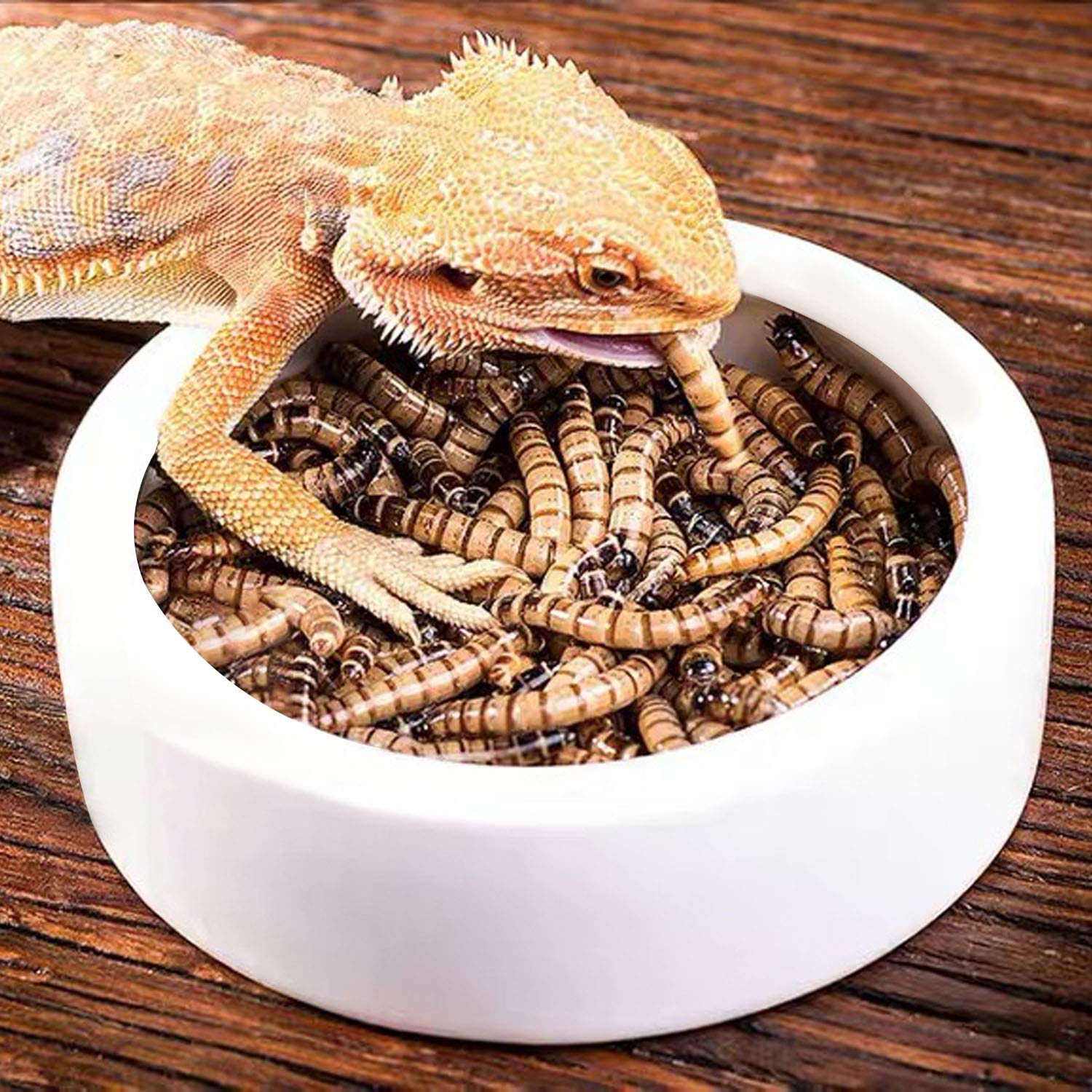 Reptile/Exotics Food