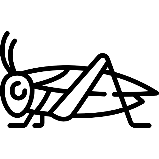 Line drawing of a 12 Crickets LRG depicting a large banded cricket standing sideways, showcasing its prominent antennae and intricately detailed legs.