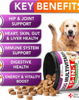 (2 Pack) Dog Multivitamin Chewable with Glucosamine   Dog Vitamins and