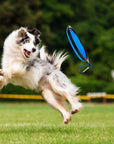 2 in 1 Dog Drinking Water Bottle with Bowls